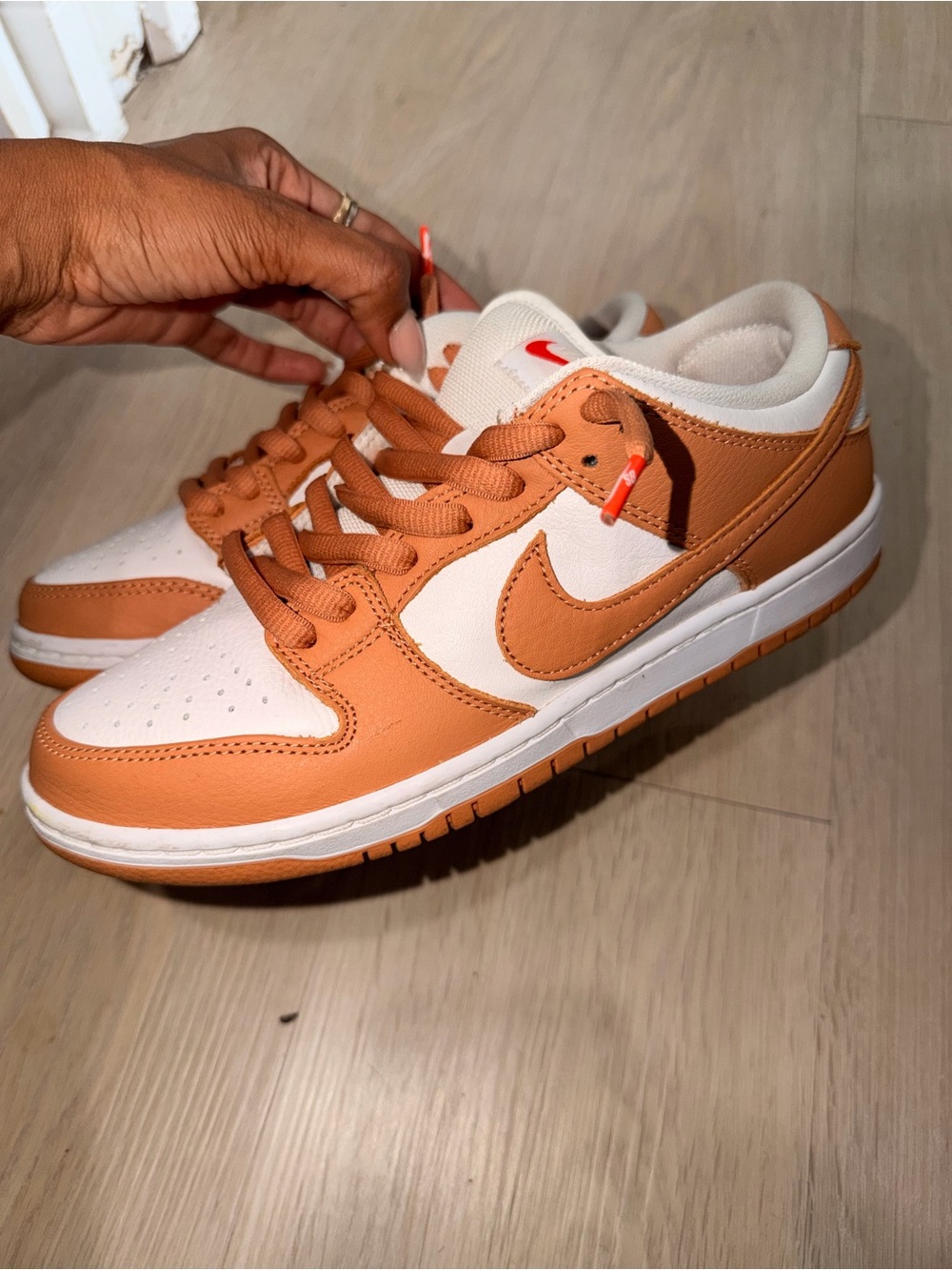Nike SB Dunk Low Sneakers